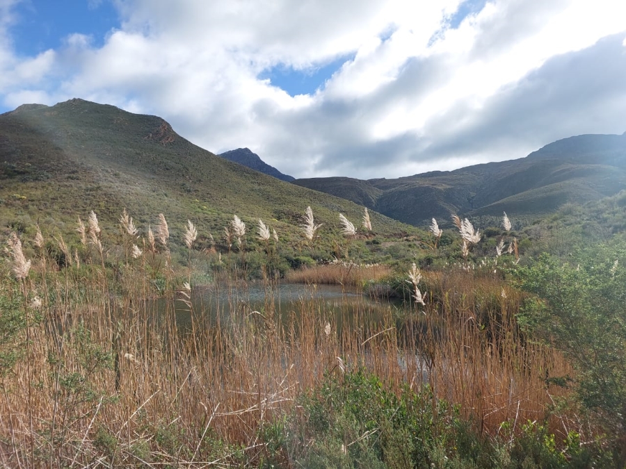7 Bedroom Property for Sale in Ladismith Rural Western Cape